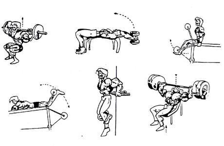 Top 20 Ejercicios recomendados