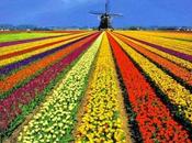 holanda buenos recuerdos trae