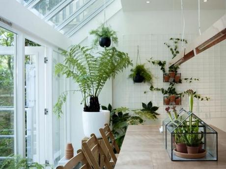 SLA: ENSALADAS EN ÁMSTERDAM