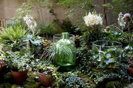 SLA: ENSALADAS EN ÁMSTERDAM