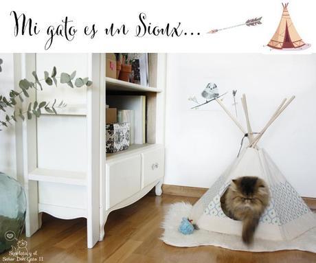 cattipi o como mi gato es un sioux