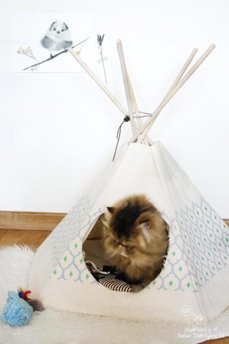 cattipi o como mi gato es un sioux