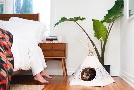 cattipi o como mi gato es un sioux