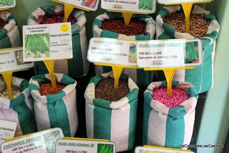 Las Chikas en Lisboa I