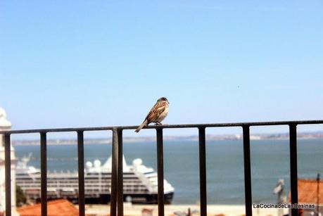 Las Chikas en Lisboa I