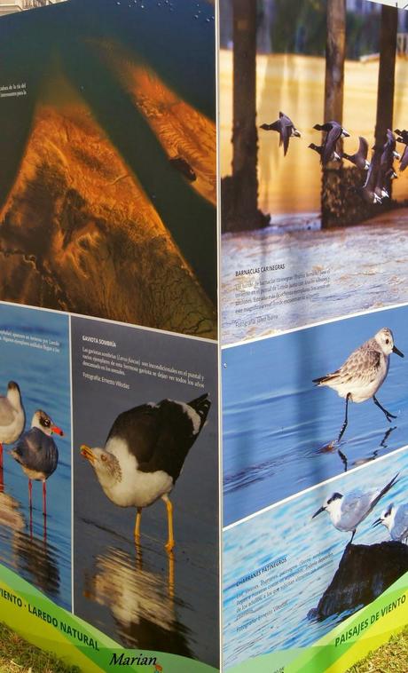 MENS SANA IN CORPORE SANO