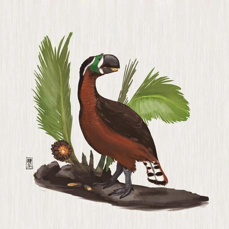 Gastornis no era carnívora