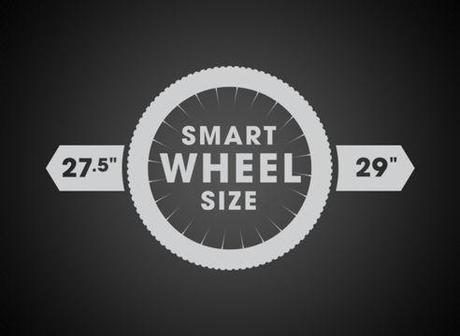Trek Smart Wheel Size