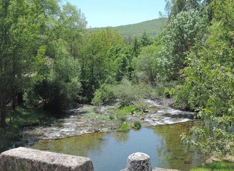 Viaje a ninguna parte. Tocando el cielo. Río Pedroso, a su paso por Barbadillo de Herreros.