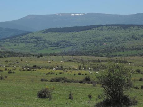 Viaje a ninguna parte. Tocando el cielo. Entre Barbadillo de Herreros y Monterrubio de la Demanda.