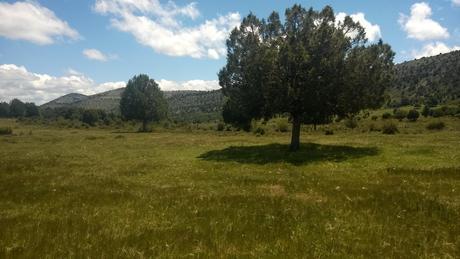 Viaje a ninguna parte. Tocando el cielo. Por estos prados se rodó