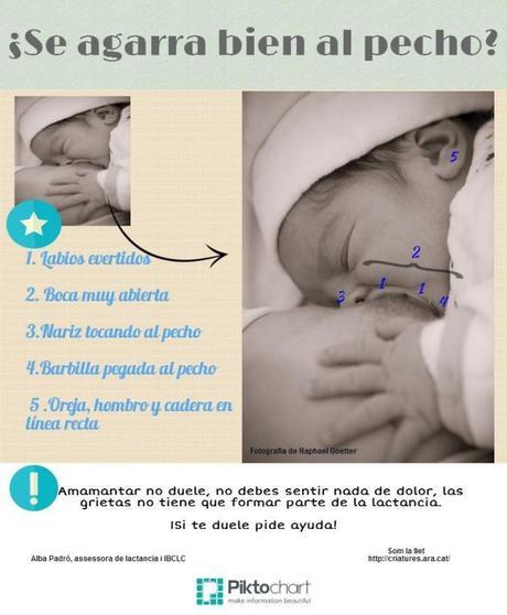 ¿Se agarra bien al pecho?