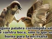 poder negativo rechazo