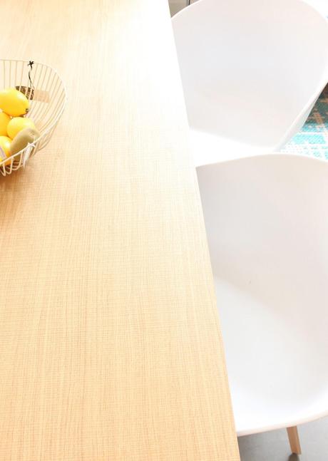 LA OCA PRESENTA SU NUEVA COLECCIÓN