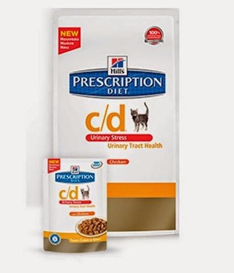 10 Consejos para reducir el estrés de los gatos.