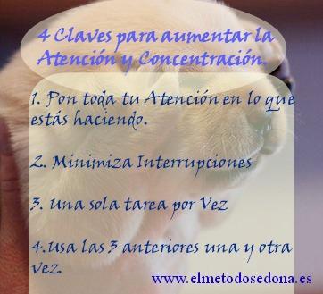 ¿Problemas de Atención y Concentración? 4 Claves: Cómo incrementar tu Atención y Concentración.