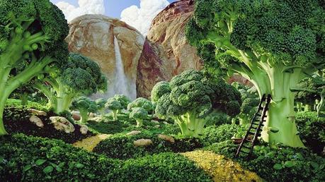 CUENTO SUCULENTO: La niña que no comía nada verde y la princesa Brocolina CUENTO SUCULENTO: La niña que no comía nada verde y la princesa Brocolina