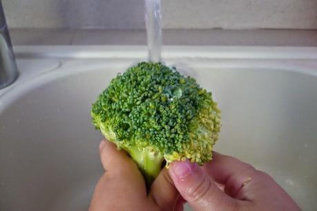 CUENTO SUCULENTO: La niña que no comía nada verde y la princesa Brocolina CUENTO SUCULENTO: La niña que no comía nada verde y la princesa Brocolina