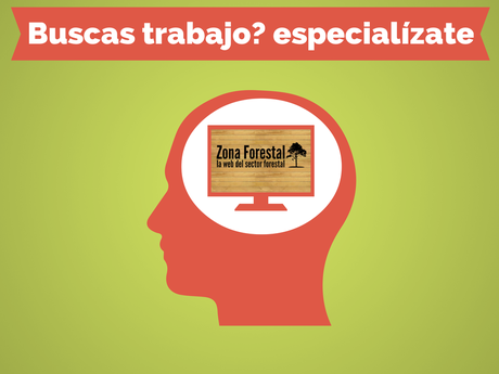 ¿Qué Máster estudiar en el Sector Forestal? trabajo-forestal