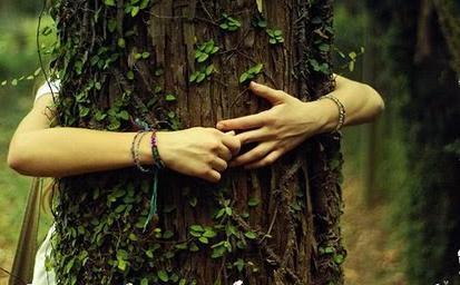 Soñar con abrazar a un árbol. ¿Alguna vez has experimentado los beneficios al abrazar a un árbol?