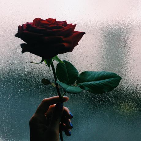 Processed with VSCOcam with c1 preset