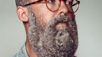 Schick :: aféitate ese koala