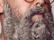 Schick aféitate koala