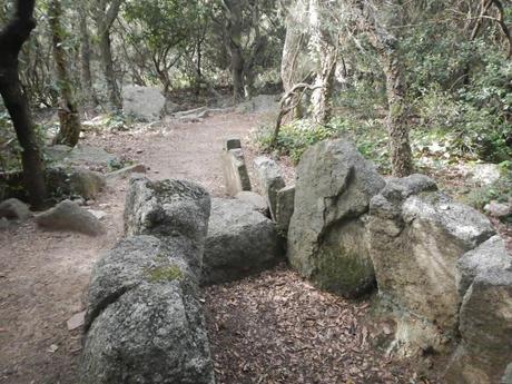 Dolmen de Can Gurri. Serralada Litoral