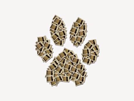 Gggrrrr... grrrr Camiseta Arorua MRDM gggrrrr... grr