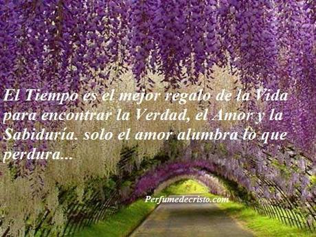 55507519-1355455090-kham-pha-nhung-canh-quan-thien-nhien--6-