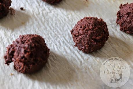 GALLETAS DOBLE CHOCOLATE CON PEPITAS DE CHOCOLATE