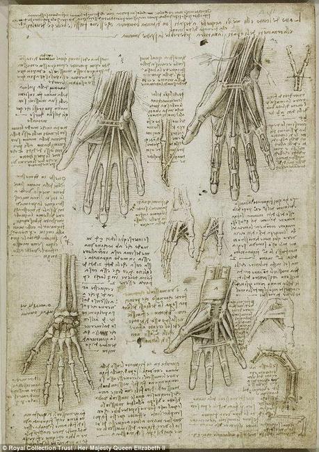 LA ANATOMÍA SEGÚN LEONARDO DA VINCI