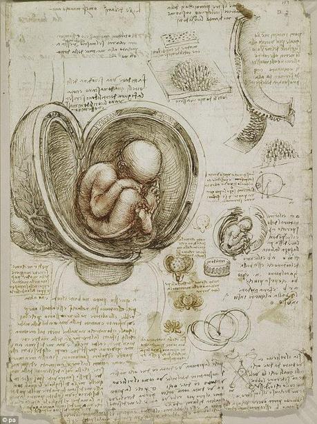 LA ANATOMÍA SEGÚN LEONARDO DA VINCI