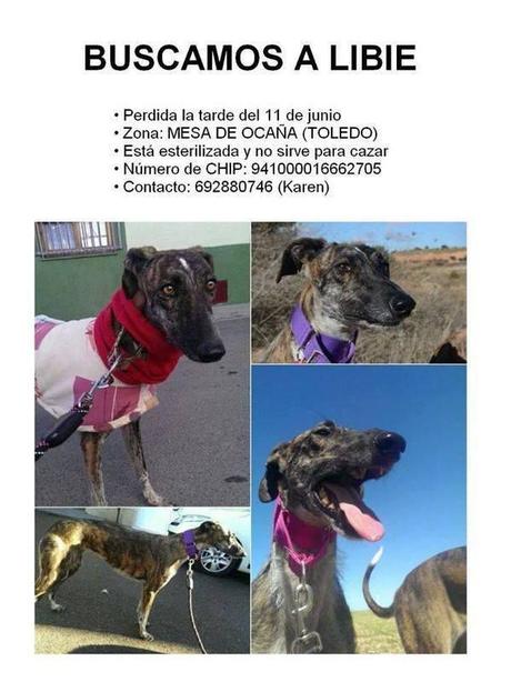 URGENTE!! BUSCAMOS A LIBIE....