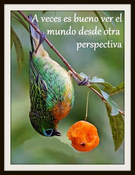 MUEBLE VALAR MORGHULIS