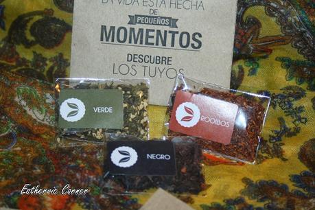 Hablamos de... TETERUM Hablamos de... TETERUM