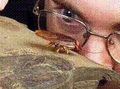 Microrrelato (135 palabras): pequeño falsificador