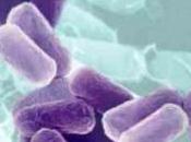 Nuevos hallazgos sobre resistencia medicamentos leucemia