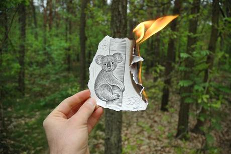 Artista visual fotografía dibujo Ben Heine koala