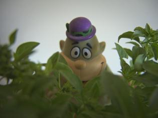 Magilla en la Selva de Albahaca