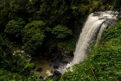 Más cataratas en Atherton Tablelands