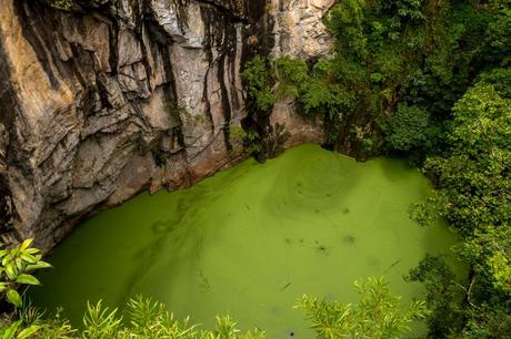 Qué color más apetecible! Atherton Tablelands, Cairns