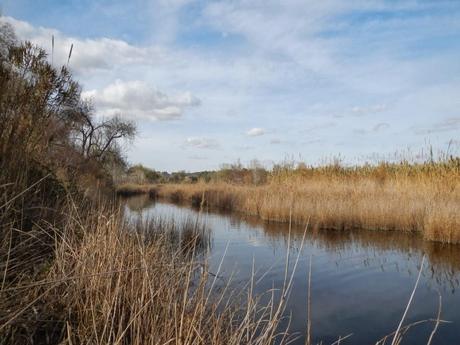 Desembocadura del río Gaià. Tamarit (Tarragona)