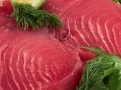 atún, sabroso nutritivo