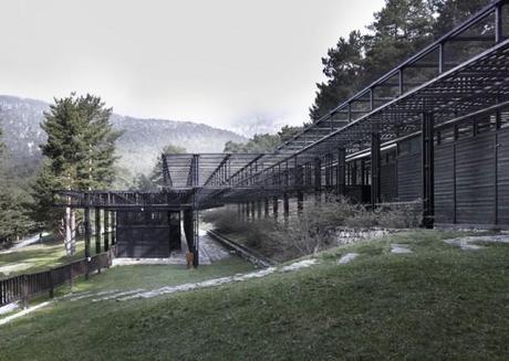 Verano con niños en Madrid | eu:KIDS verano-cercedilla 6