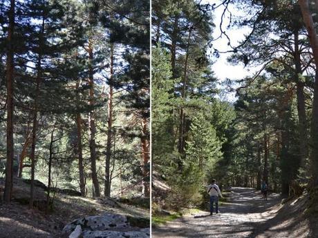 verano-cercedilla 1