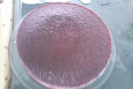 FIESTAS DE LA VECINDAD