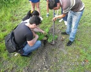 Un árbol por los Cinco en Villa Clara [+ audio]