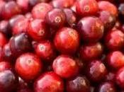 Arándano para cistitis