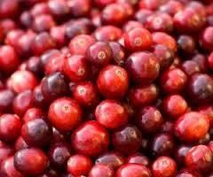 farmaceuticainmavinue